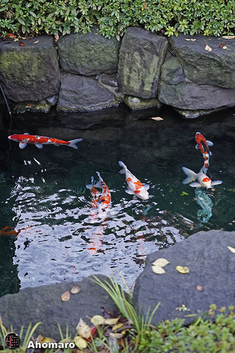 写真00