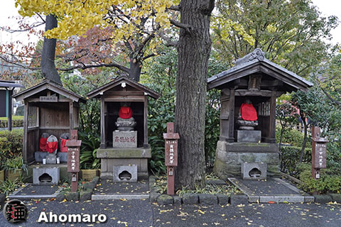 写真00
