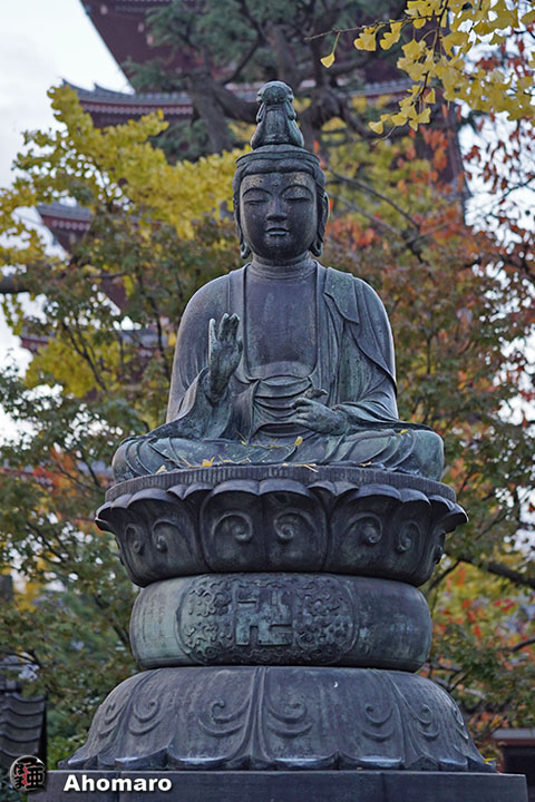写真00