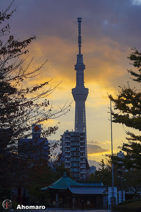写真00