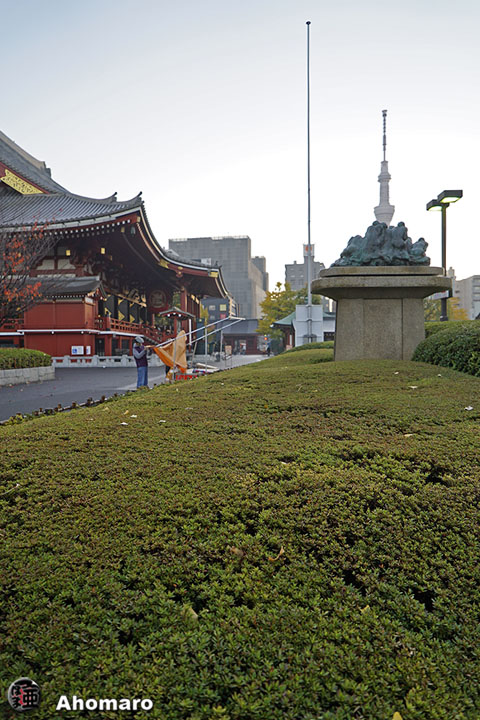 写真00