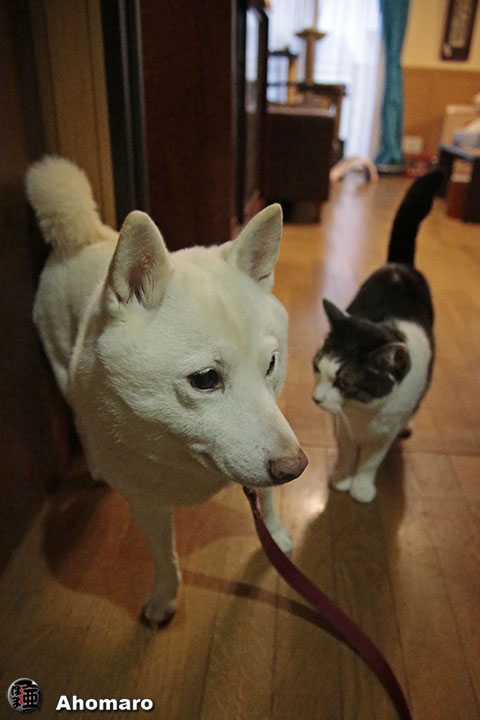 ʐ^00