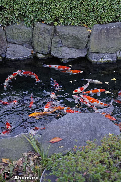 写真00
