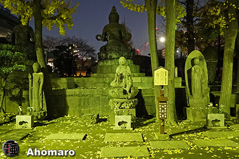 写真00