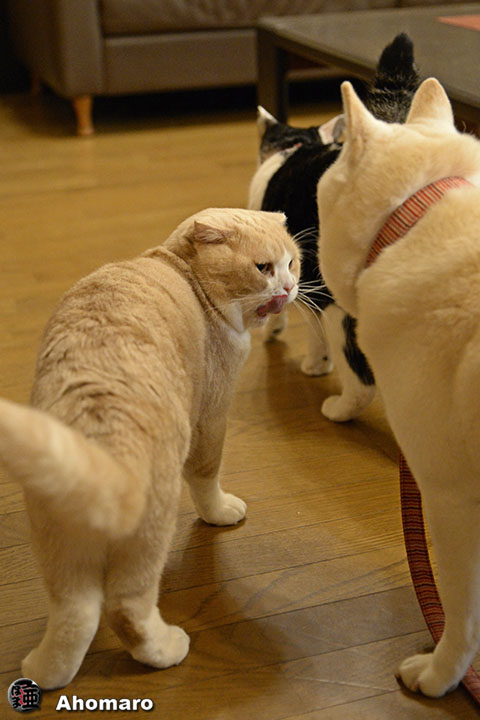 写真00