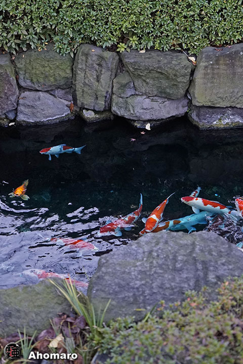 写真00