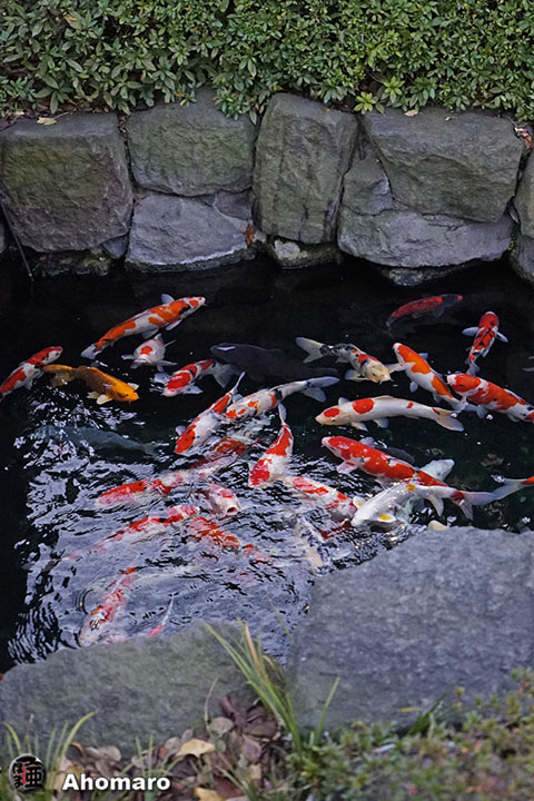写真00