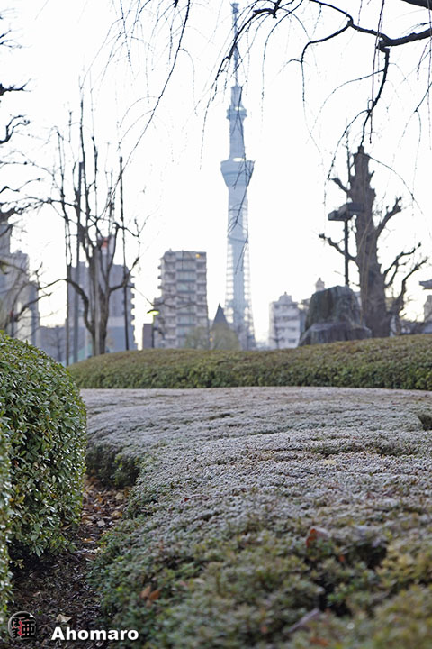 写真00