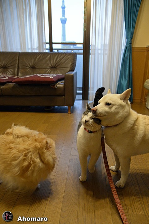 写真00