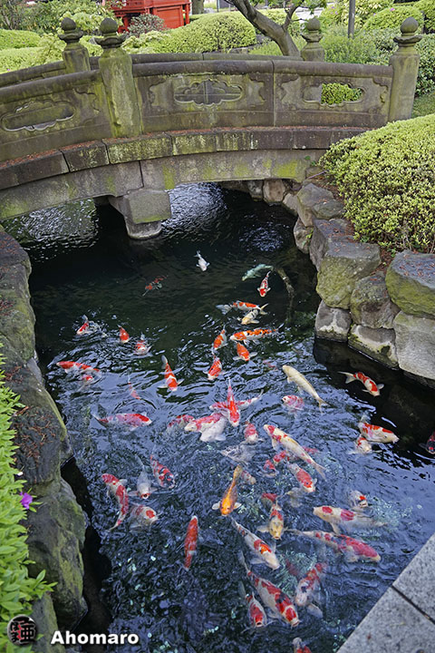 写真00
