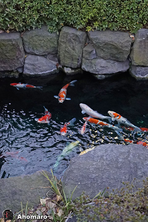 写真00