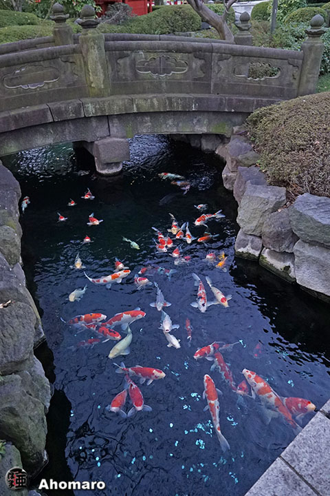 写真00