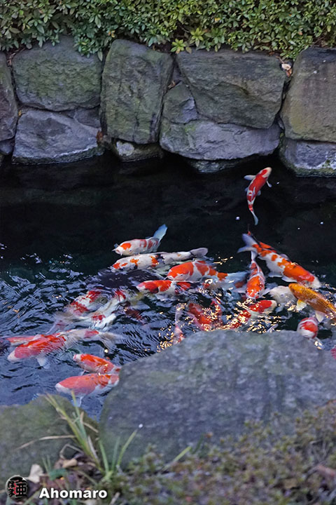 写真00
