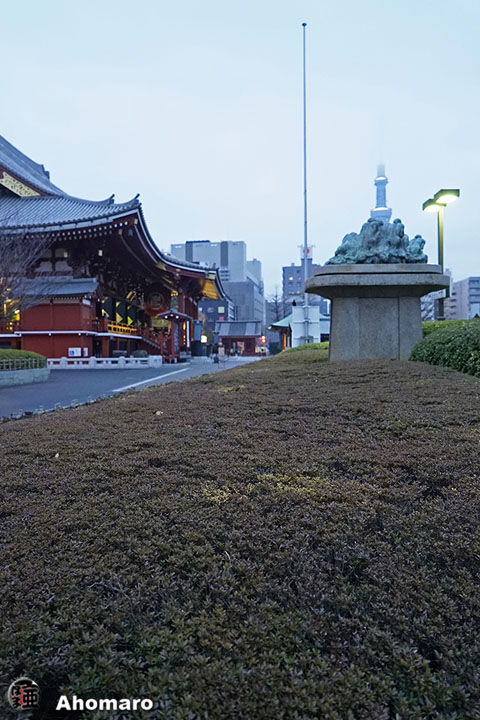 写真00