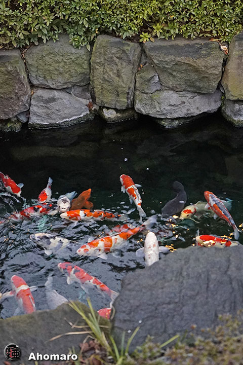 写真00