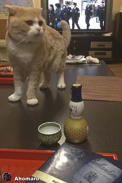 ʐ^00