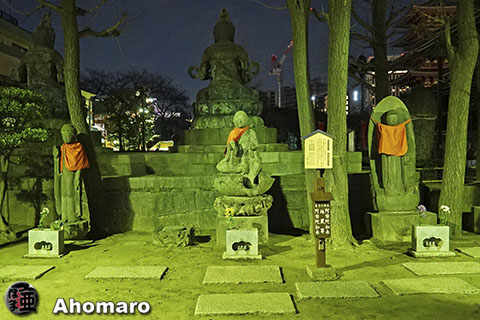 写真00