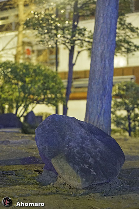 ʐ^00
