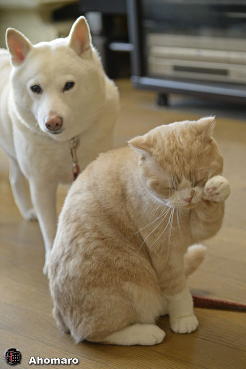 写真00