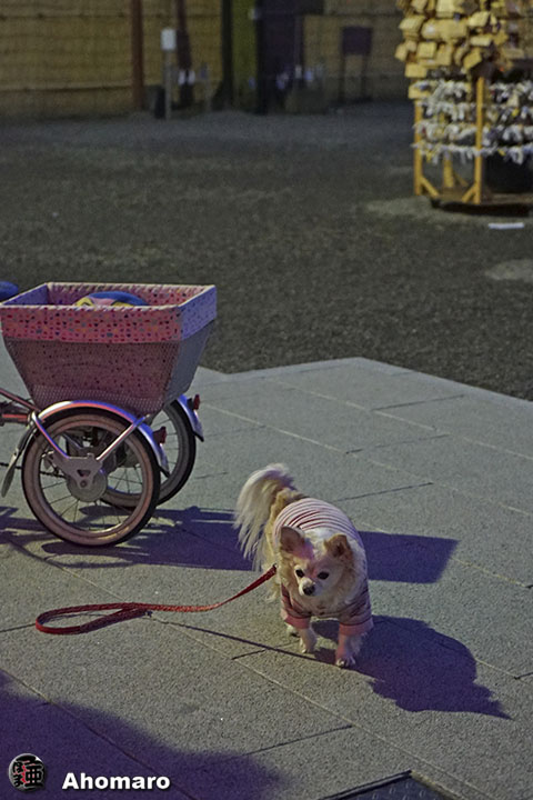 写真00