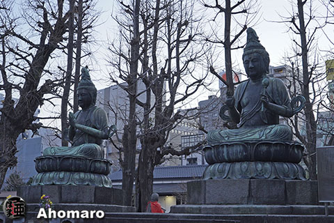 写真00