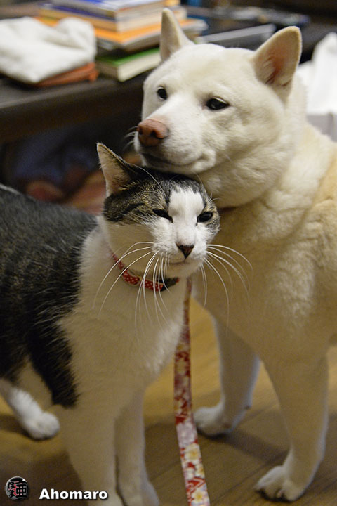 写真00
