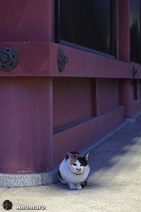 写真00