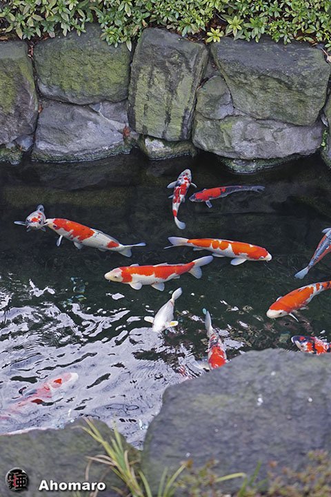 写真00
