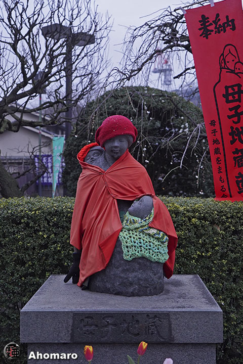 写真00