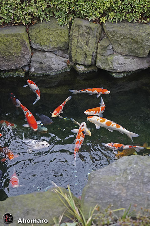 写真00