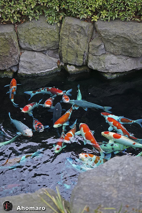 写真00