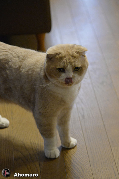 写真00