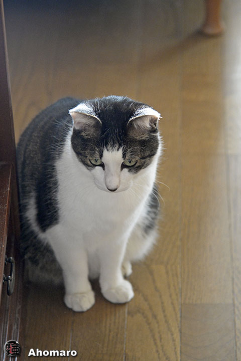 写真00