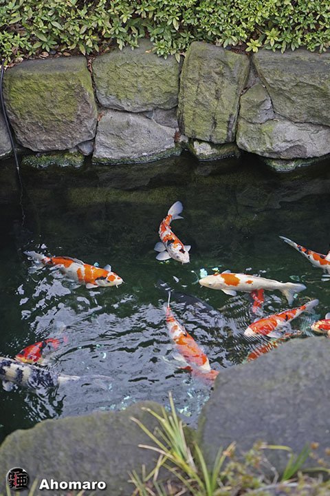 写真00