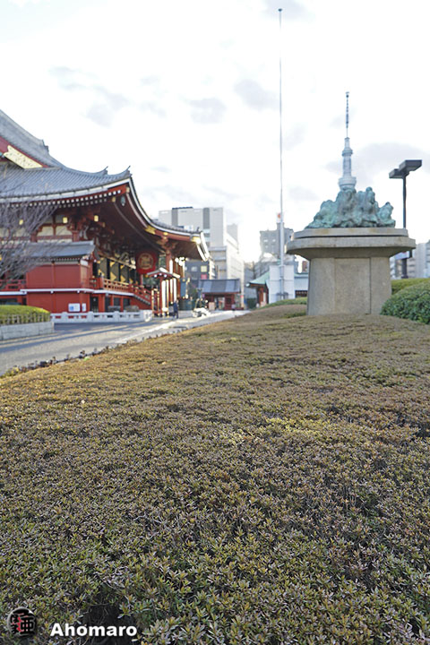 写真00