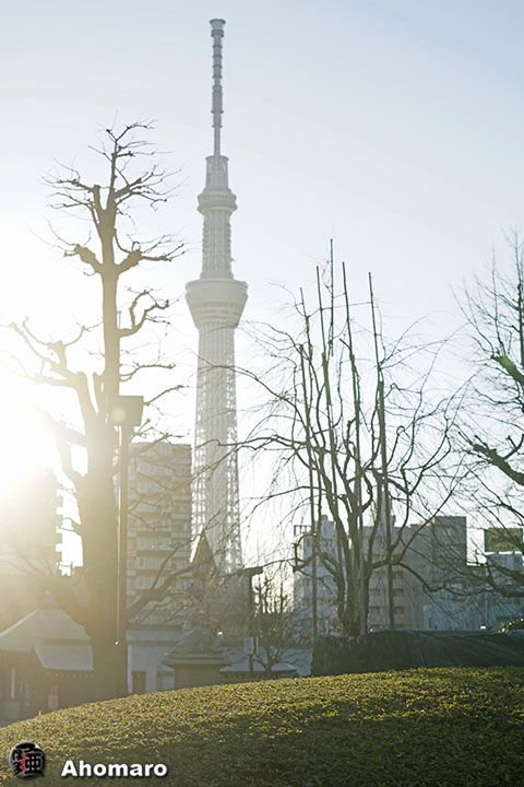 写真00