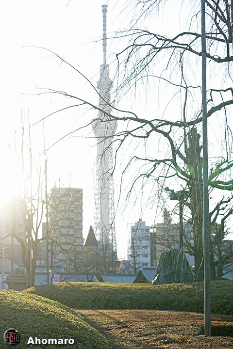 写真00