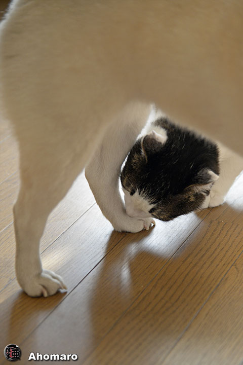 写真00