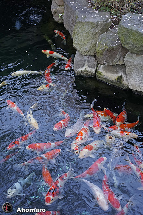 写真00