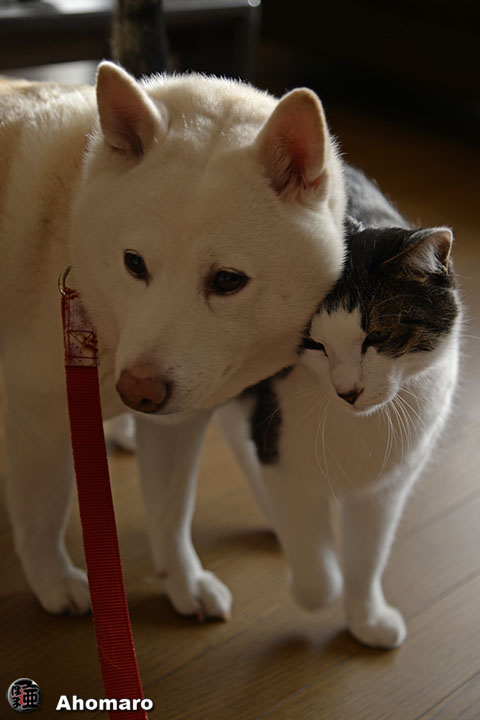 写真00