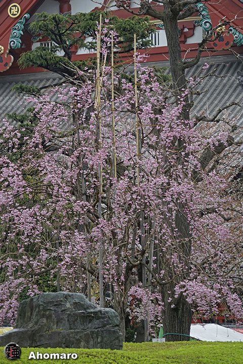 写真00