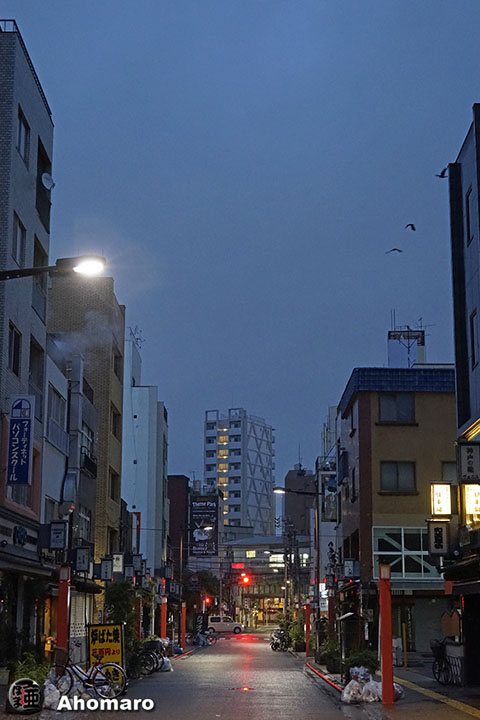 写真00