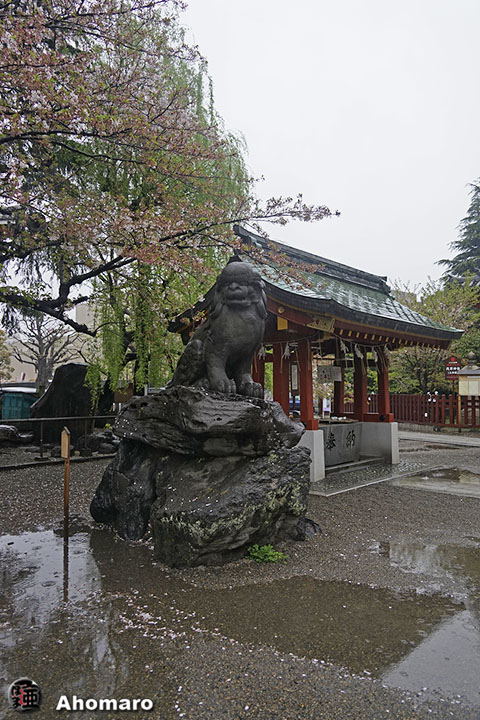 写真00