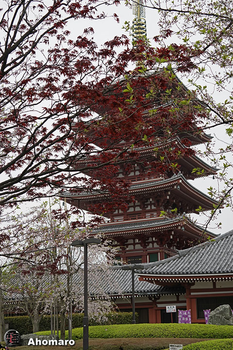 写真00