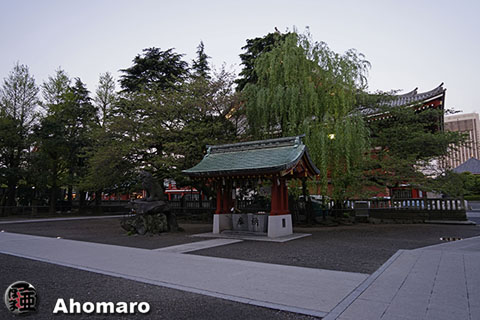 写真00