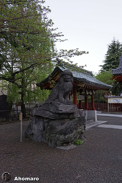 写真00