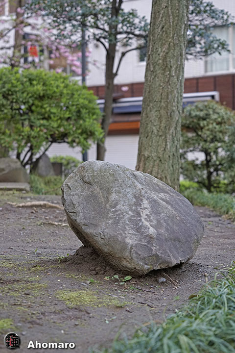 写真00