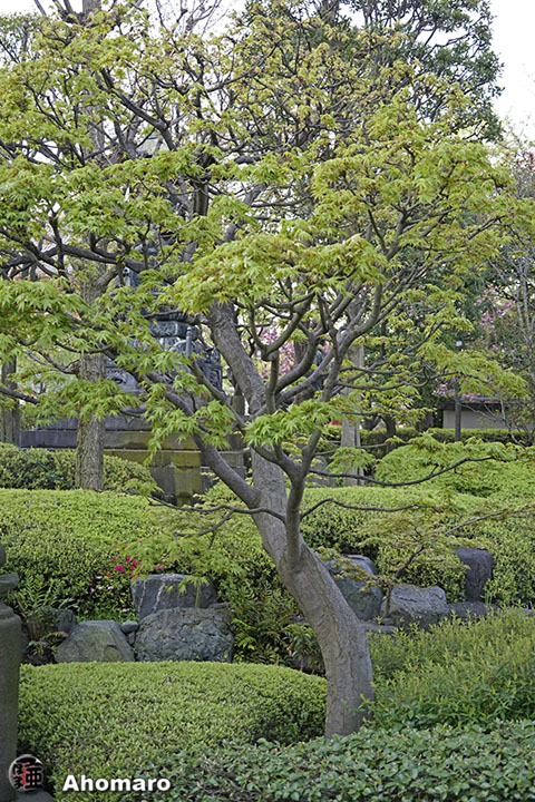 写真00