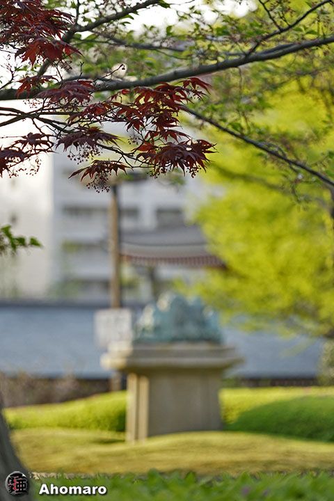 写真00