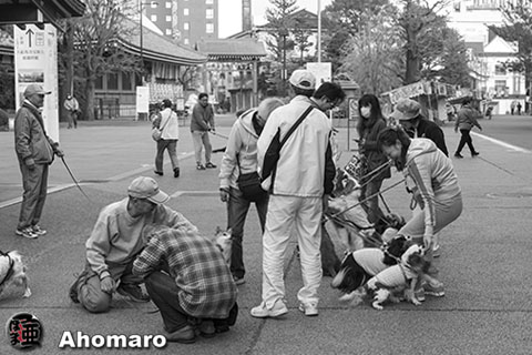 写真00